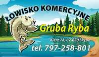 Łowisko Komercyjne Gruba Ryba