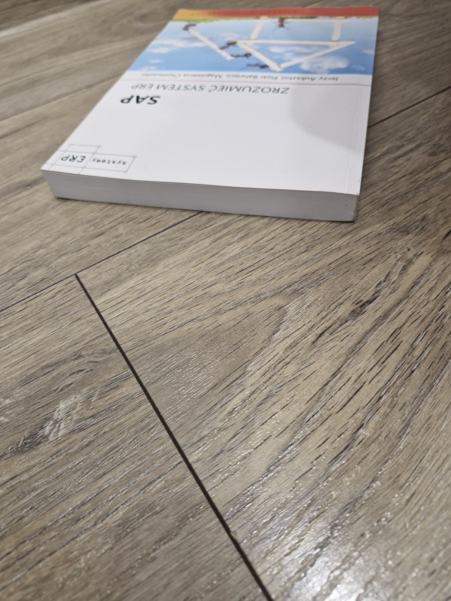 SAP Zrozumieć System ERP