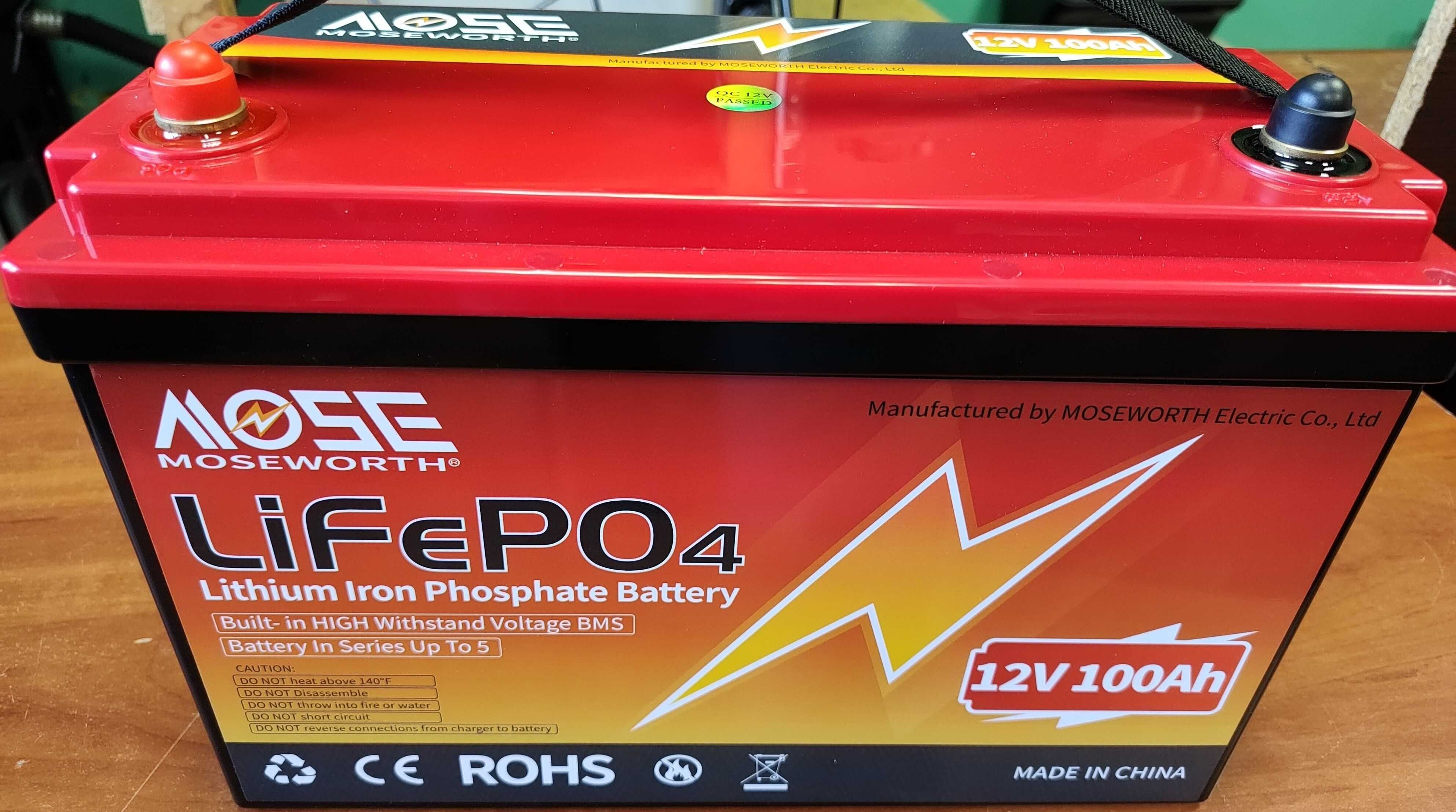 Акумулятор MOSEWORTH LiFePO4 12V/100AH BMS Bluetooth SMART + зарядка