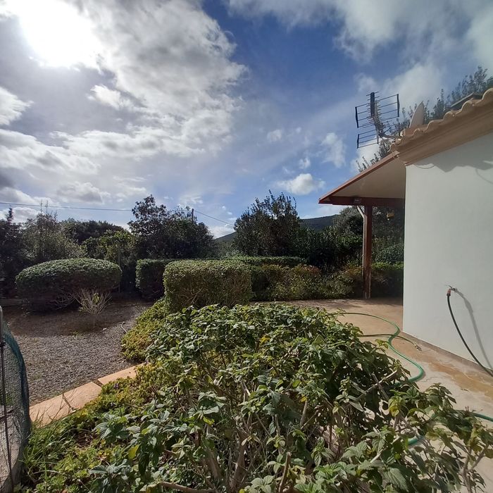 Manutenção de jardins e limpezas de terrenos