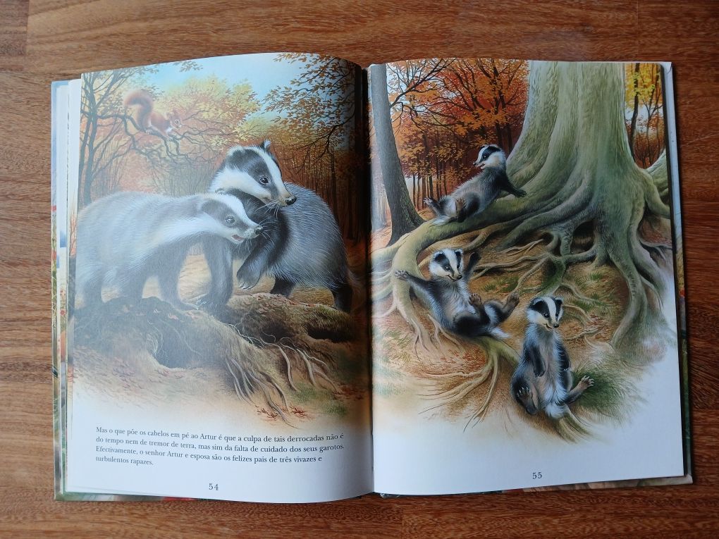 Os Animais Nossos Amigos, Livro Infantil