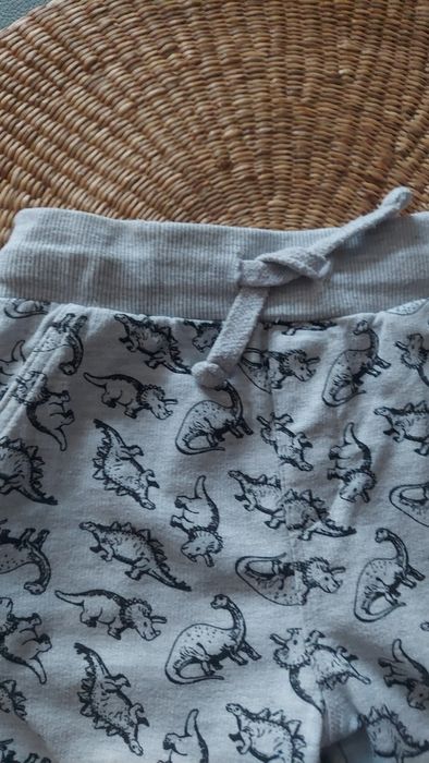 Spodnie cotton joggers popiel print dino jak nowe r 116