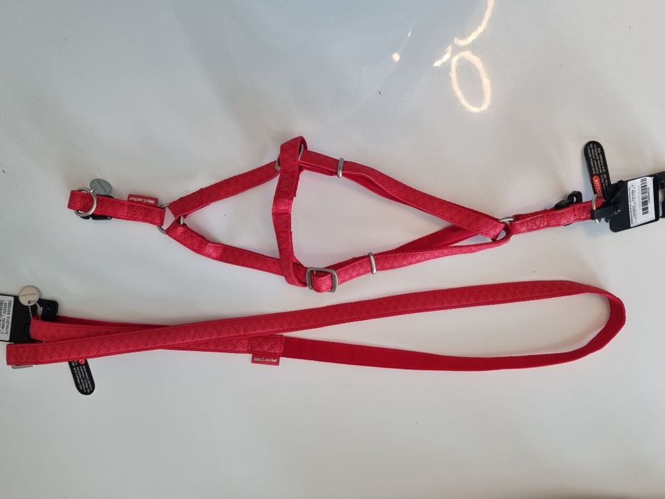 Smycz i szelki dla psa