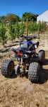 Mini Moto 4 tox spider 125cc