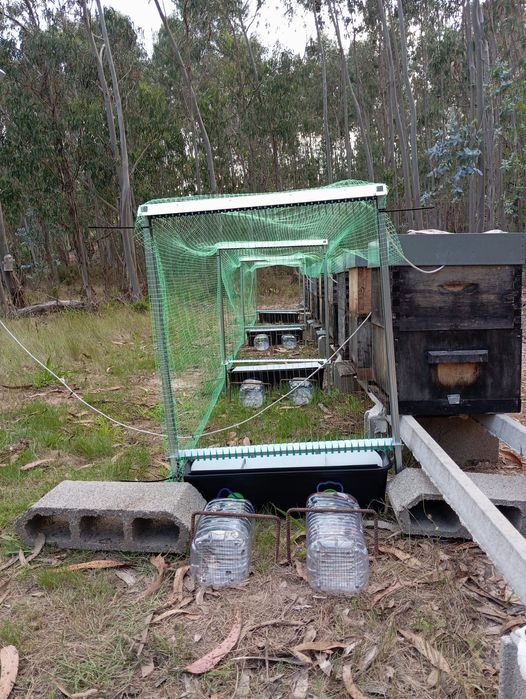 HARPAS SIMPLES/DUPLAS grande EFICÁCIA eletrónicas -arpa vespa velutina