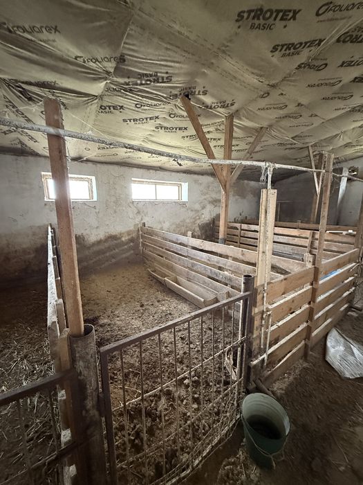 Ферма утеплена з підводом води та земельною ділянкою