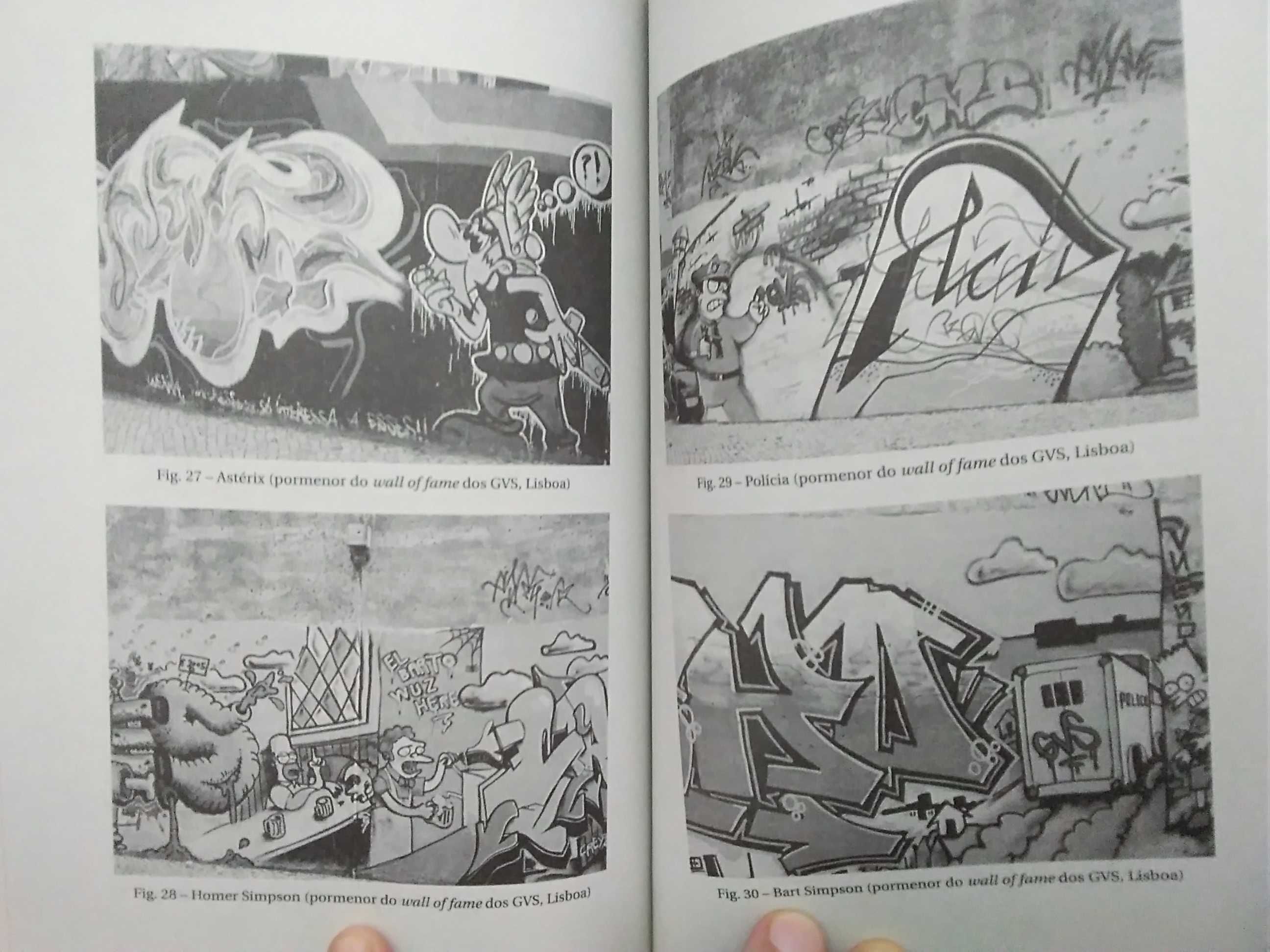 Porque Pintamos a Cidade? - Uma Abordagem Etnográfica do Graffiti