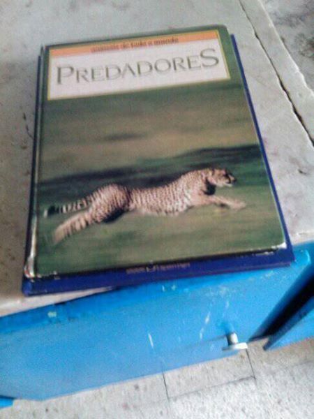 Livro predadores