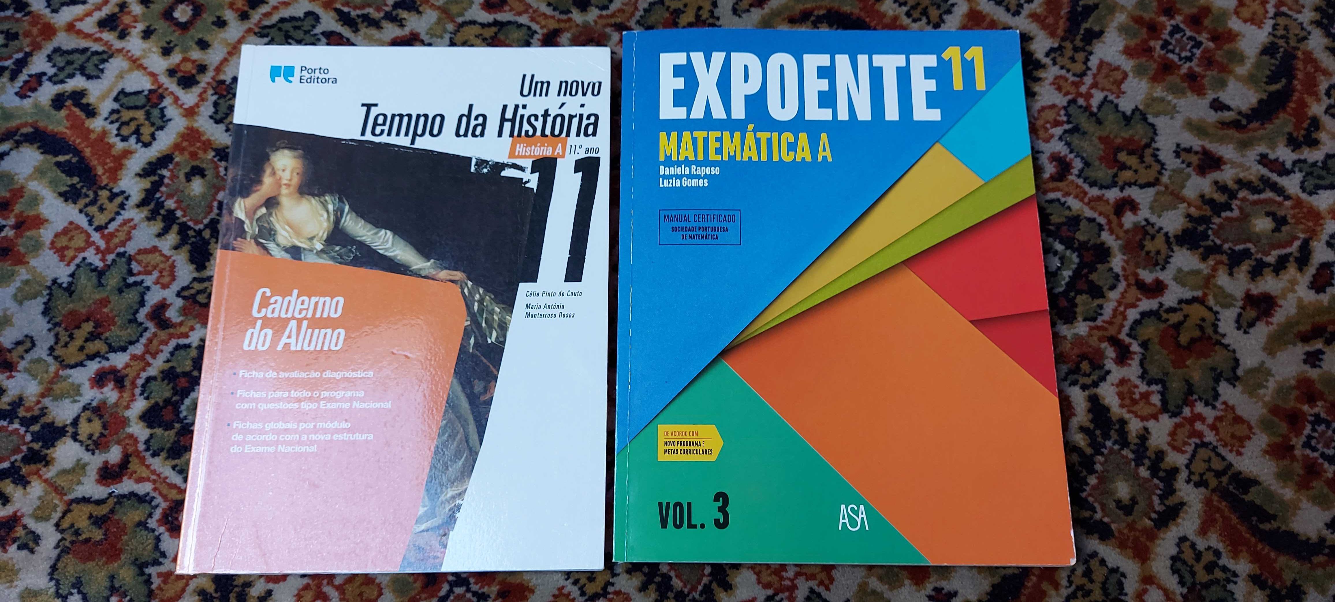 Livros 11 ano história