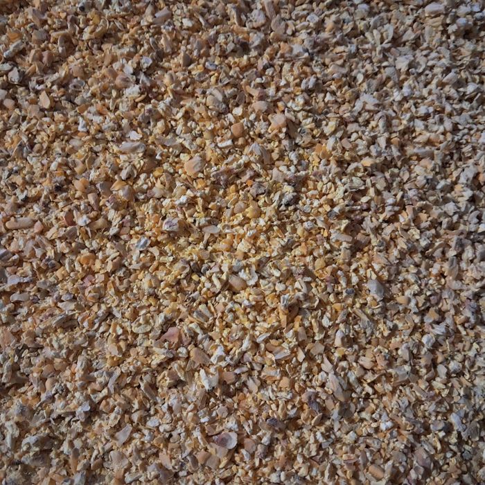 Kukurydza sucha cale ziarno gnieciona mielona ccm