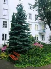 Wynajmę bezpośrednio kawalerkę na Powiślu