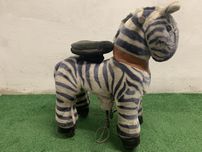 Zebra konik kon zabawka uzywany pony cycle odpychany mechaniczny hit