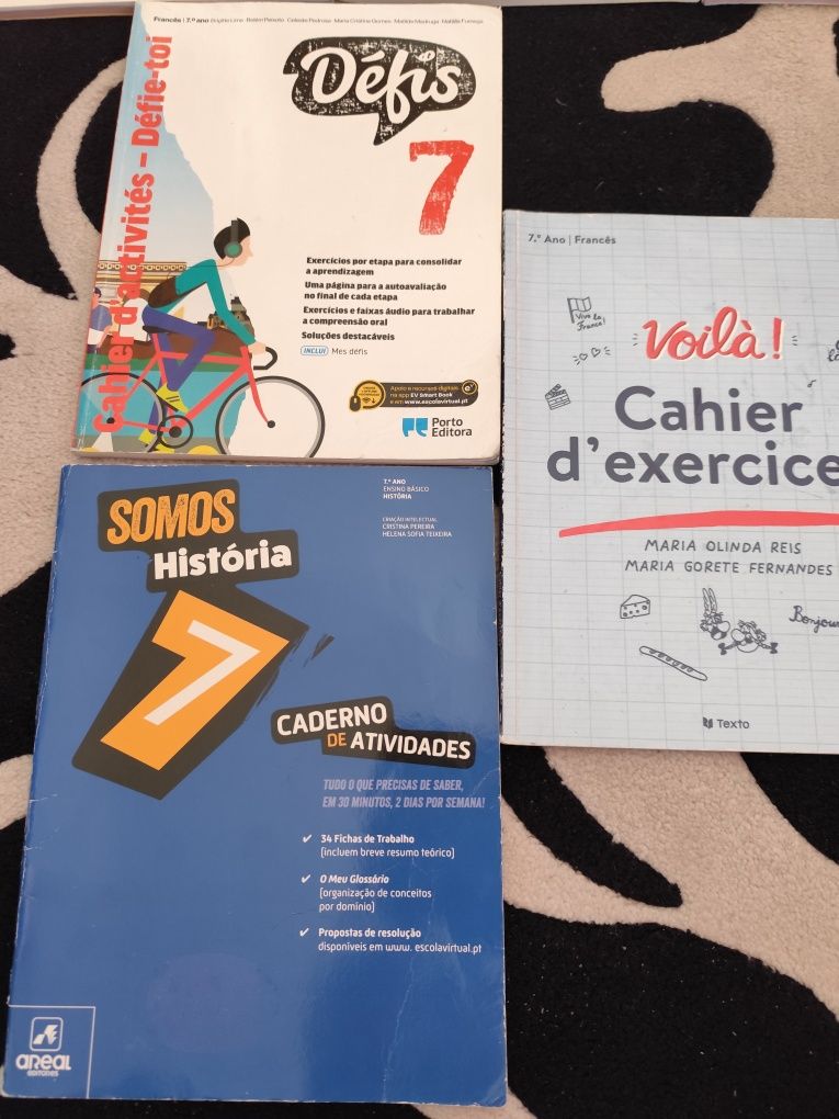 Livros de fichas 7o ano