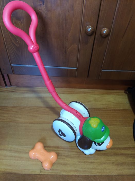 Chicco cão detetive