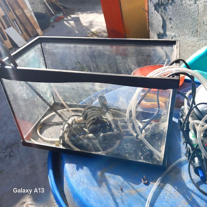 Aquario para peixes