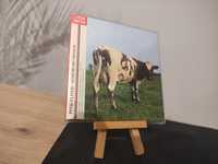 CD Pink Floyd atom heart mother mini LP Black E.M.I perełka