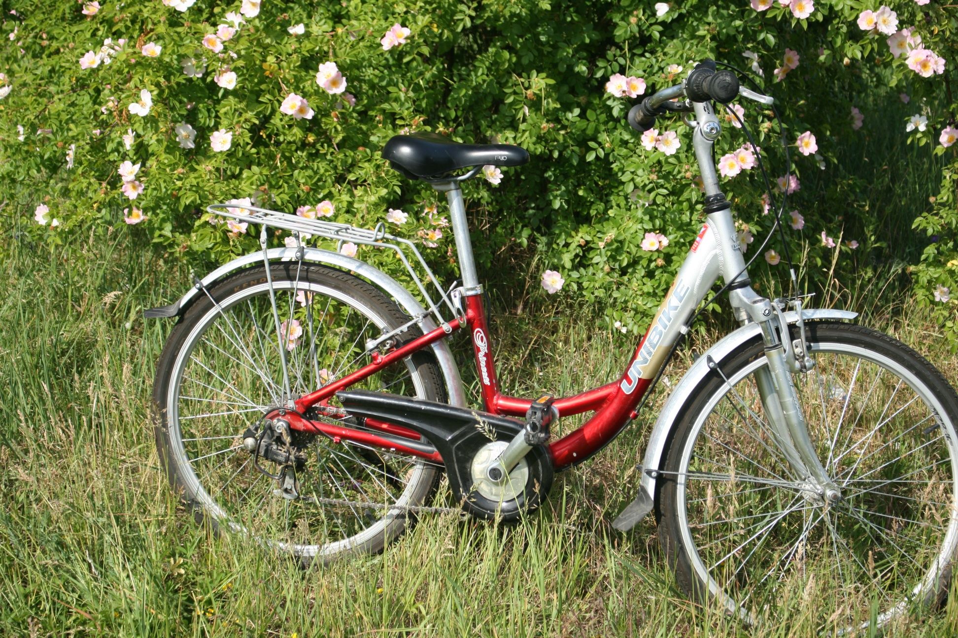 Rower Unibike Princess 24''