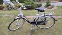 Rower Sparta  gazella