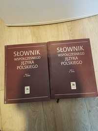 Słownik wspólczesnego języka polskiego 2 tomy