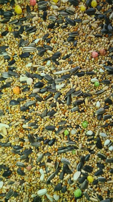 Mieszanka dla papug średnich. Bez sorga, pszenicy i kukurydzy (20kg)