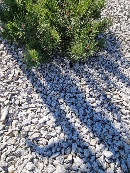 Kamień ozdobny, grys dalmatynczyk kora kamienna