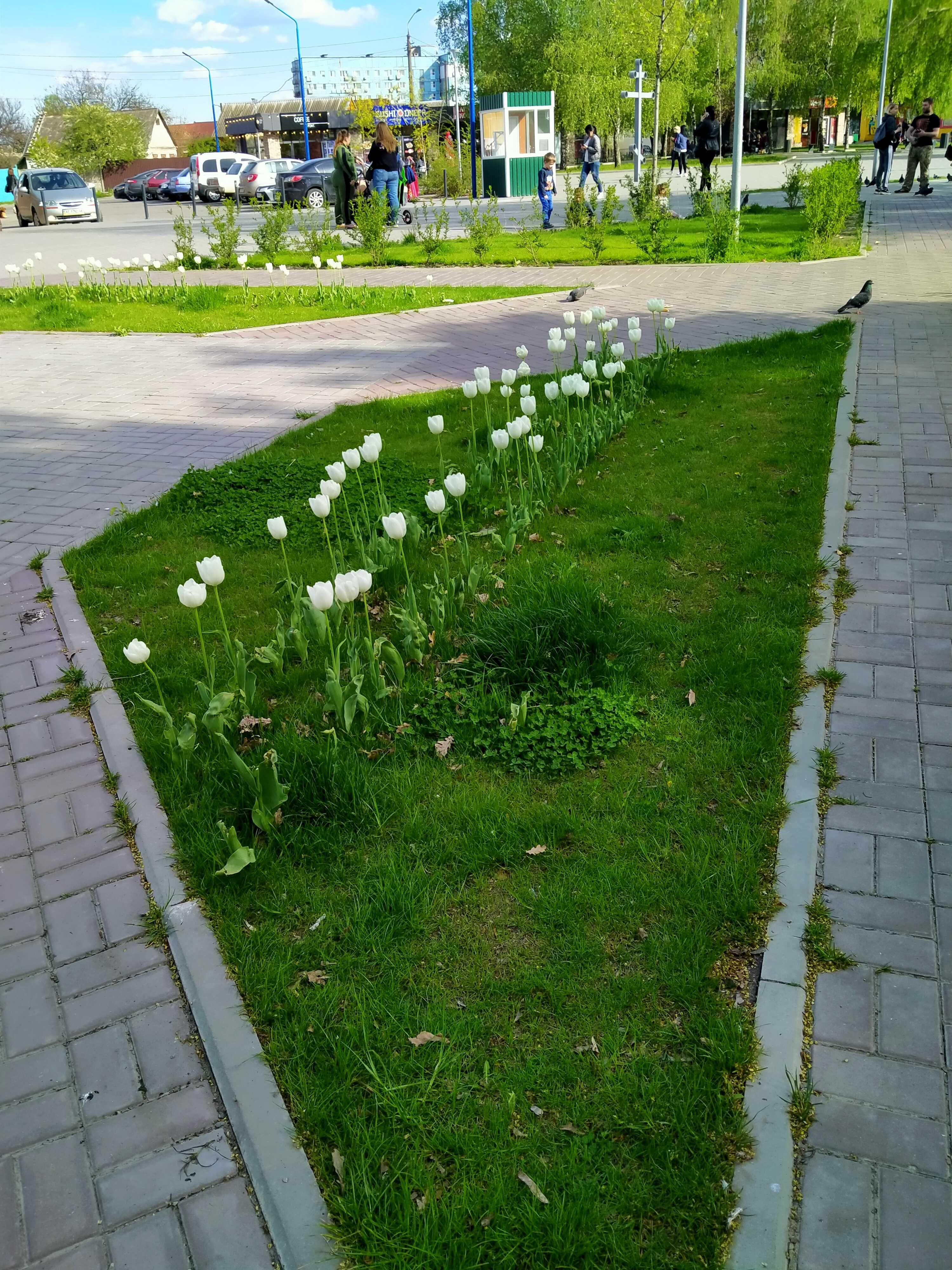 Продам дом на Западном