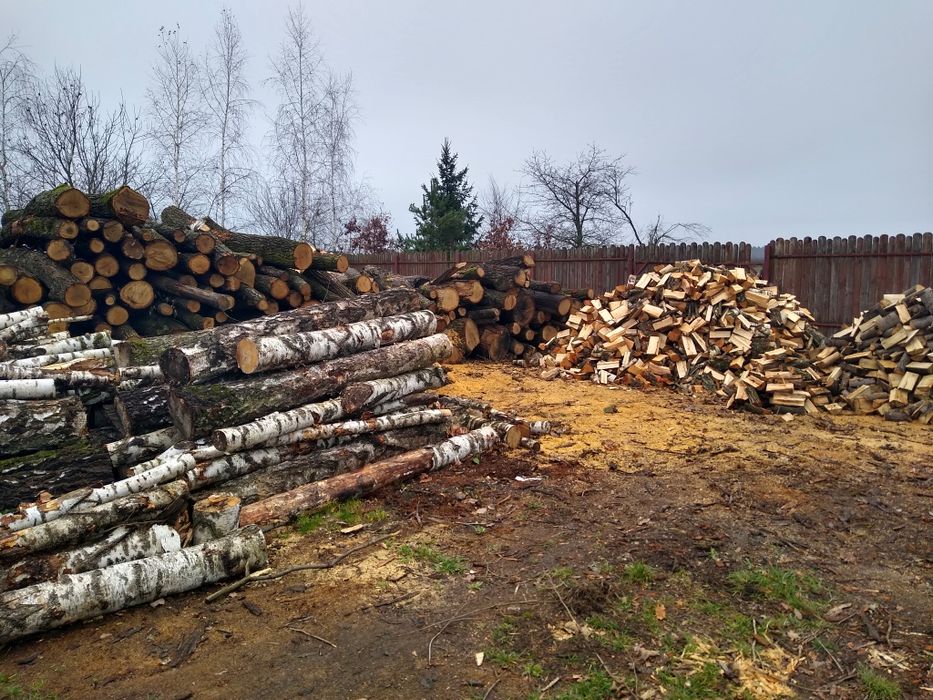 Drewno drzewo opałowe dąb brzoza sosna buk