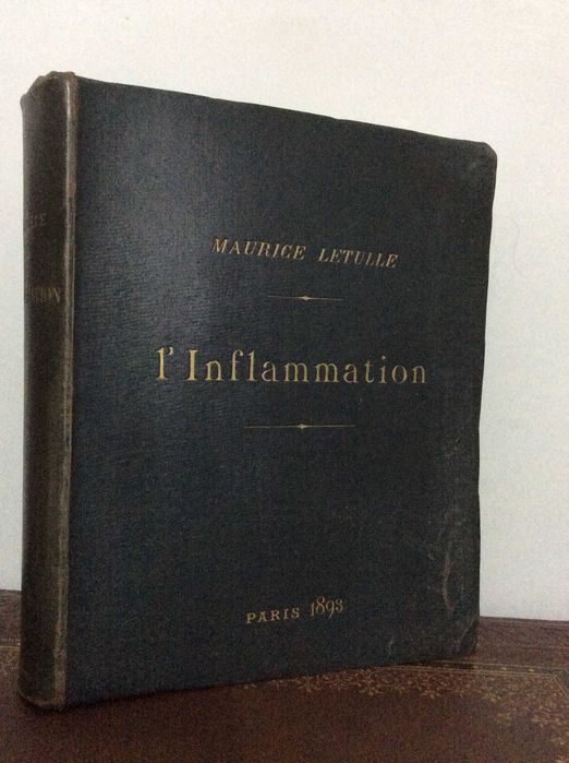 L'Inflammation. Études anatomo-pathologiques, 1893