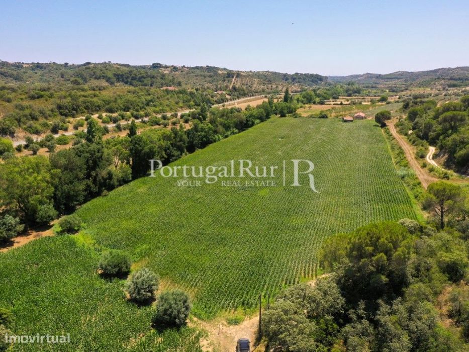 Terreno com 16 hectares em Chancelaria, Torres Novas