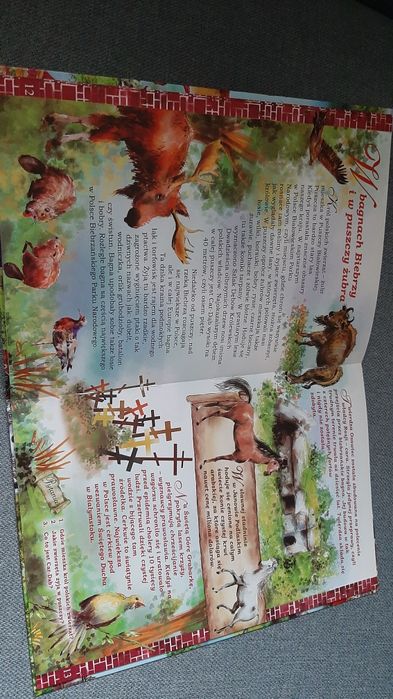 Historia Polski dla najmłodszych Najważniejsze tematy NOWA Szarkowie