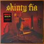 Discos de vinil novos - Big Star, Fontaines DC, Bjork, etc.