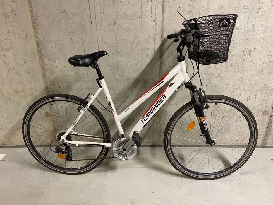 Teamrider rower trekkingowy