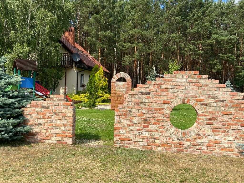 Bednarzówka - dla miłośników przyrody i pracowników | WOLNE W LIPCU