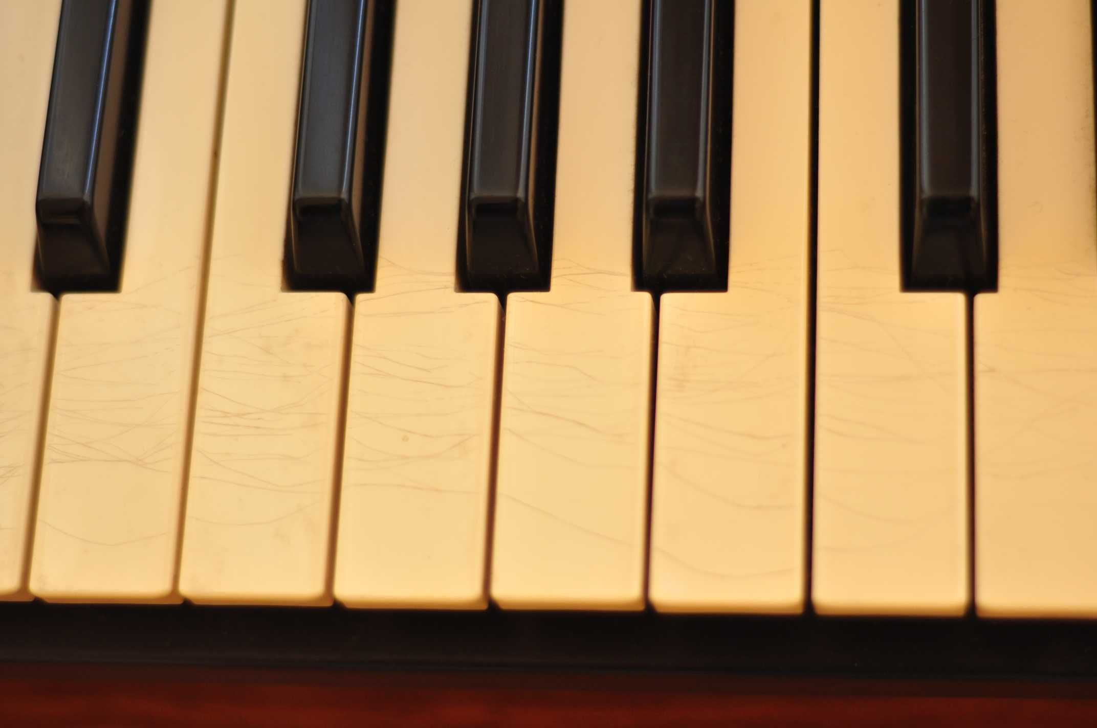 teclado Yamaha PSR-7 (80's keyboard with lush FM!)