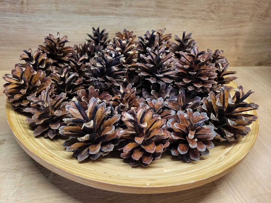 kolorowe żołędzie jesienne dodatki szyszki świąteczny akcent