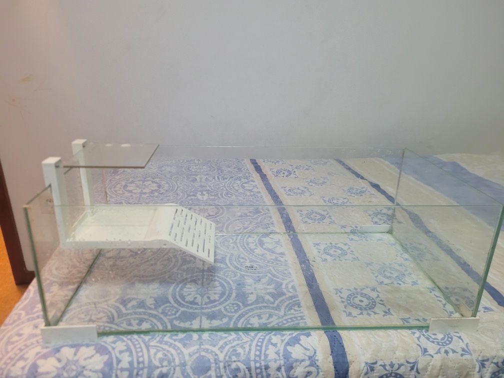 Aquário para Tartarugas