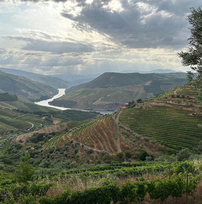 Terreno vista Douro
