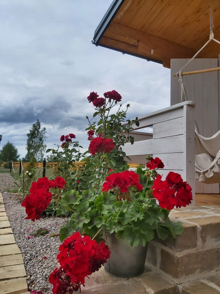 Drewniany Zakątek domek z jacuzzi i sauną na wyłączność