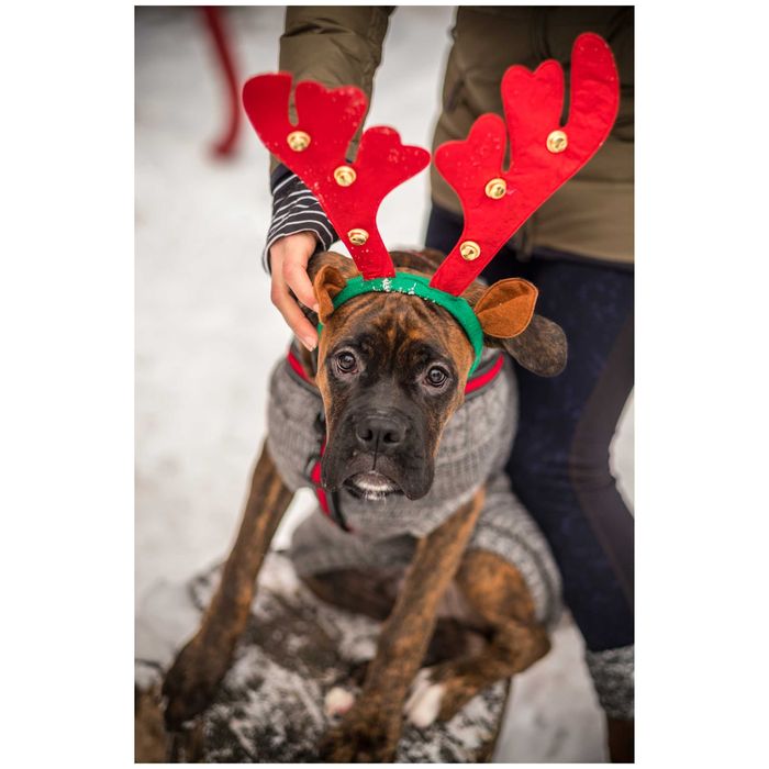 ROGI RENIFERA Opaska Na Głowę Z DZWONECZKAMI Świąteczna Mikołaj Rudolf
