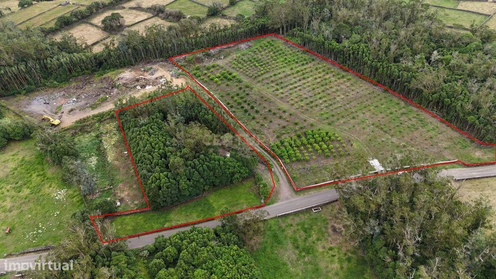 Terreno Rústico com Pomar e Maquinas Agrícolas– São Bartolomeu | 20.0