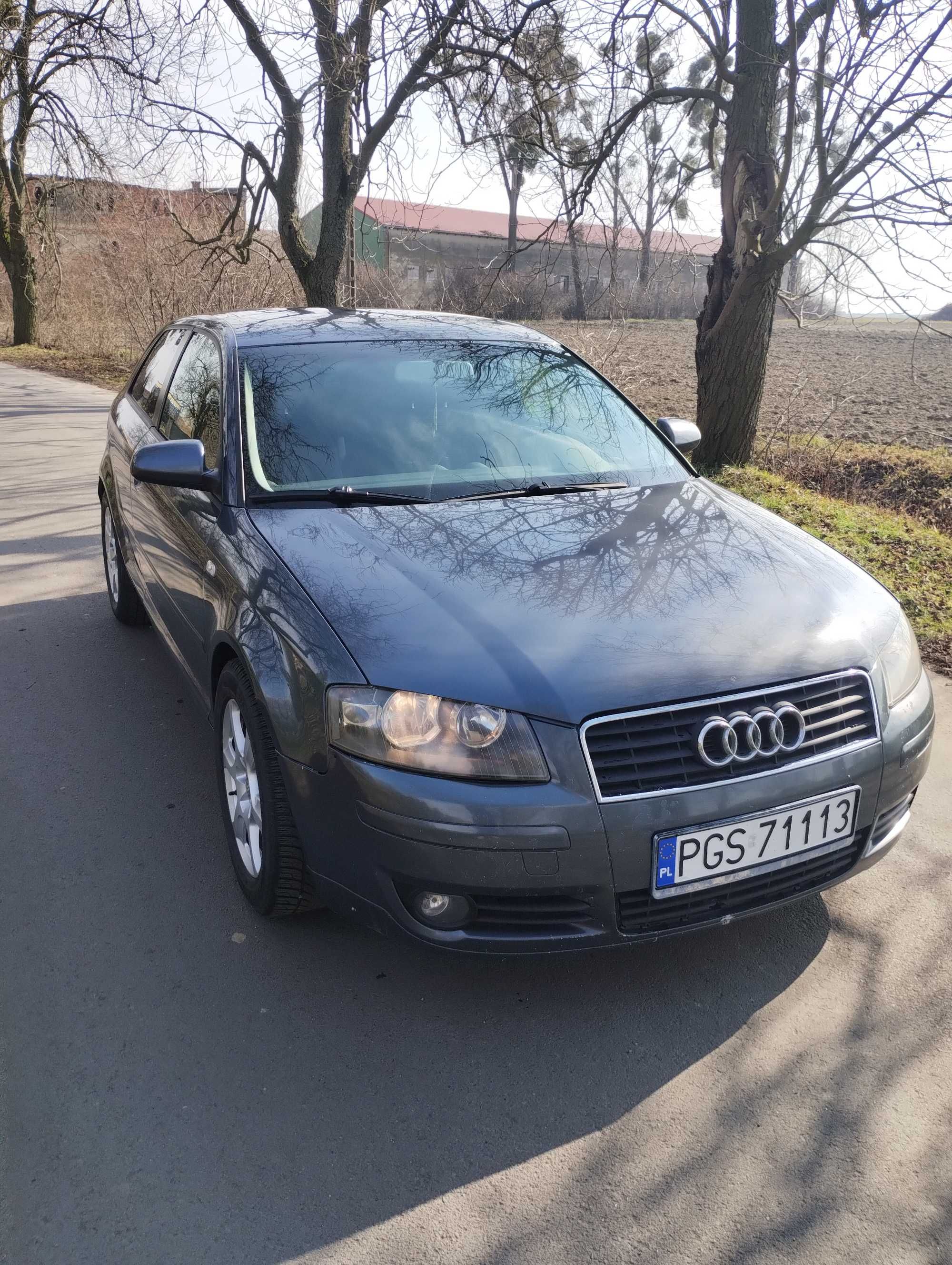 Audi a3 8P 1.9tdi