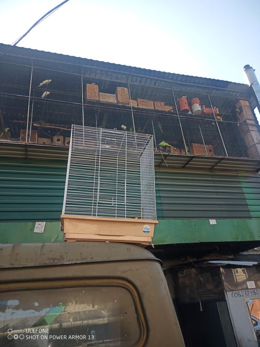 Клітки для папуг