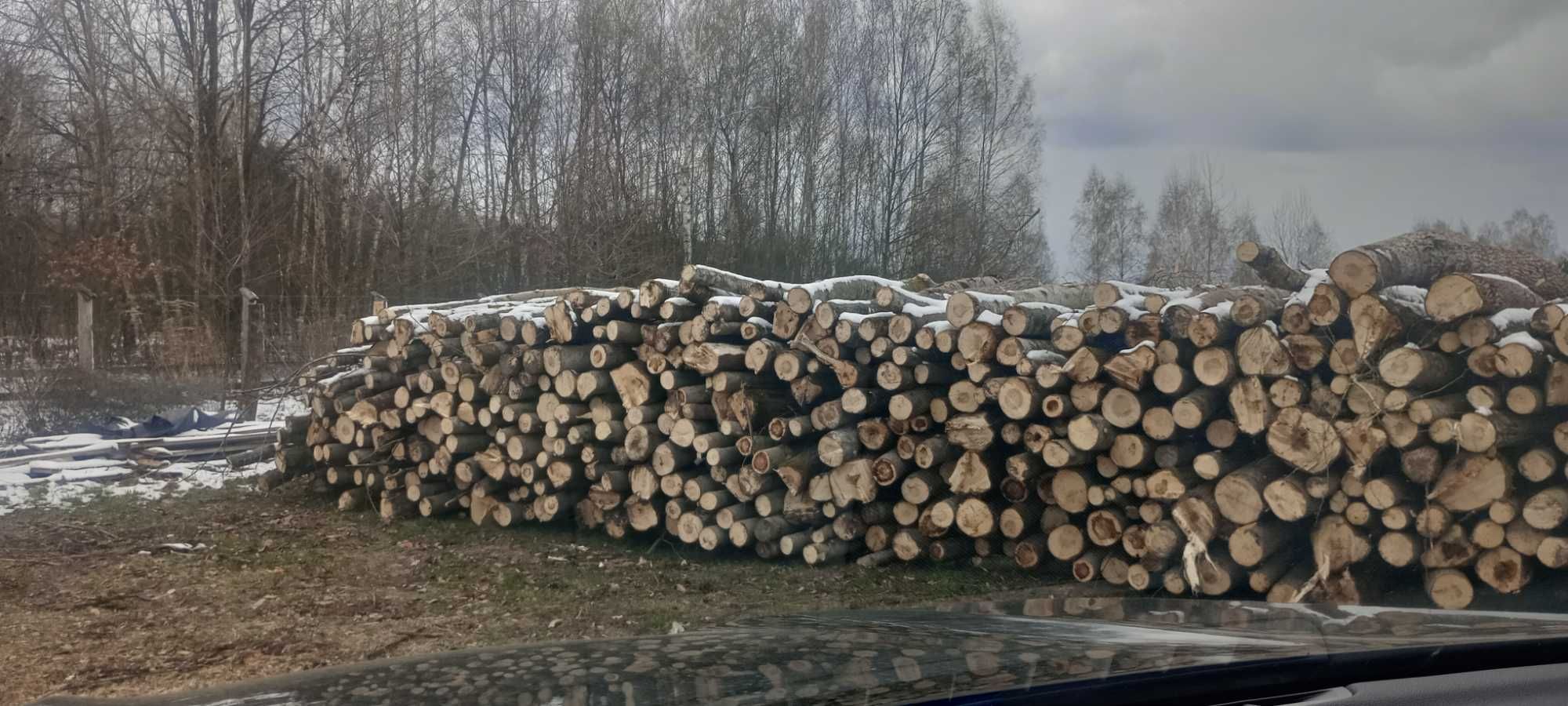 Sprzedam drewno z osiki na opał
