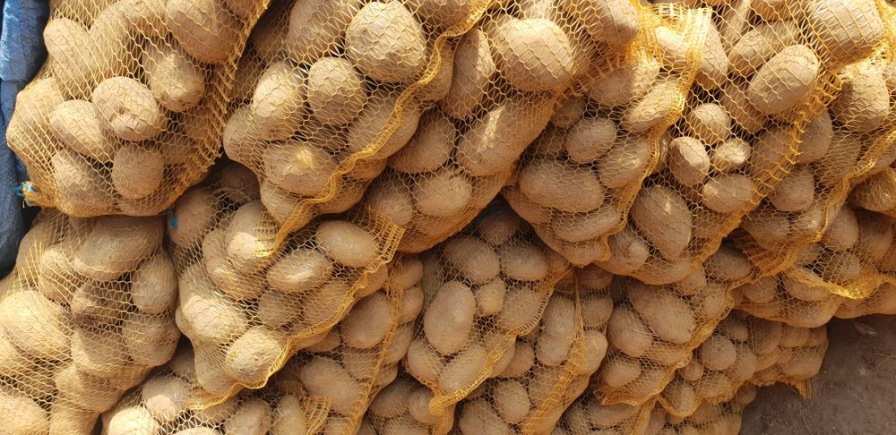 Sprzedam ziemniaki jadalne Quenn Anna, soraya, bellarosa