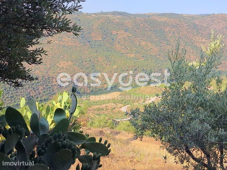 Chafurgão,Terreno agrícola com vista Douro em Freixo de Espada à Cinta