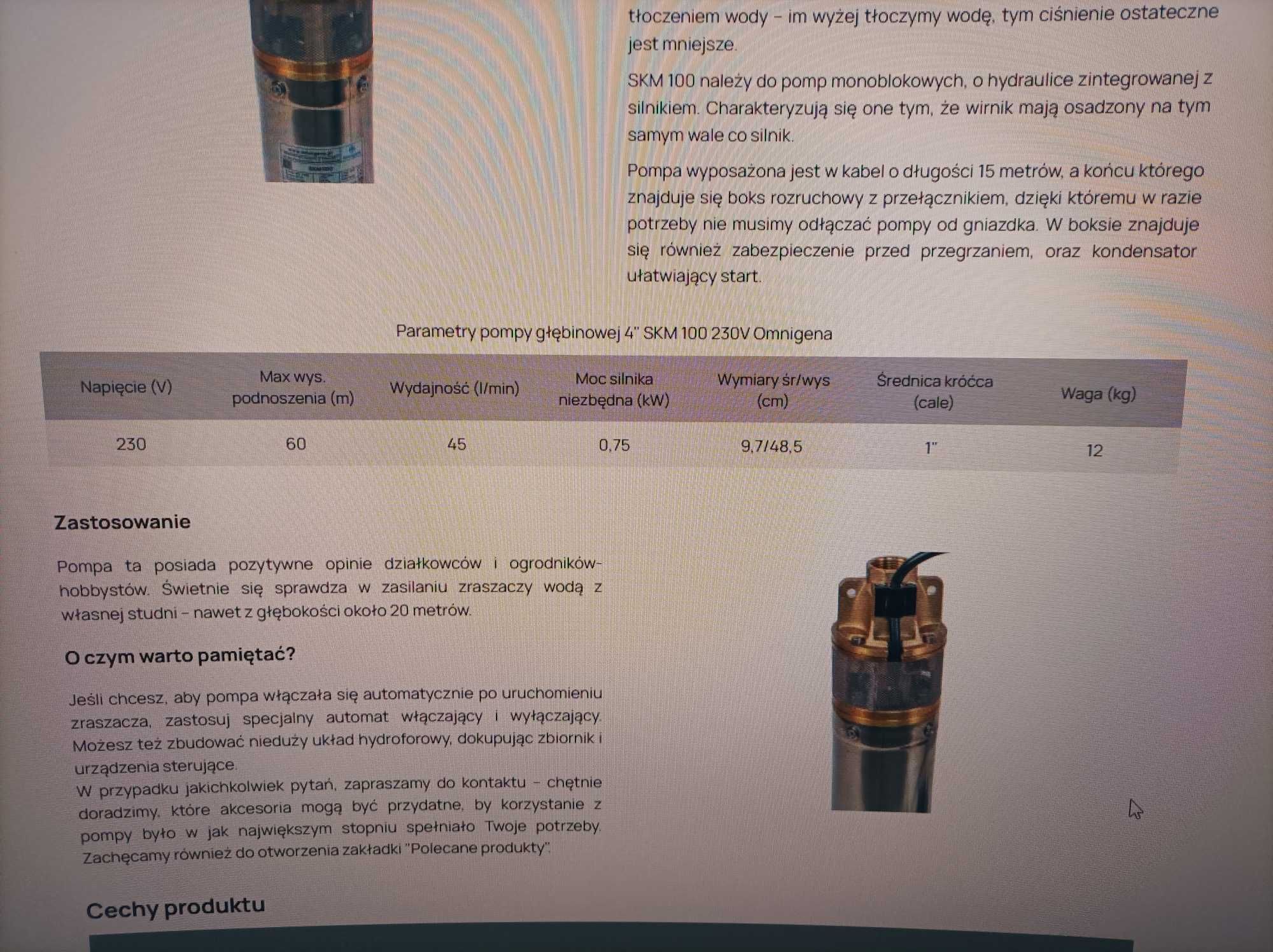 Pompa głębinowa 750W