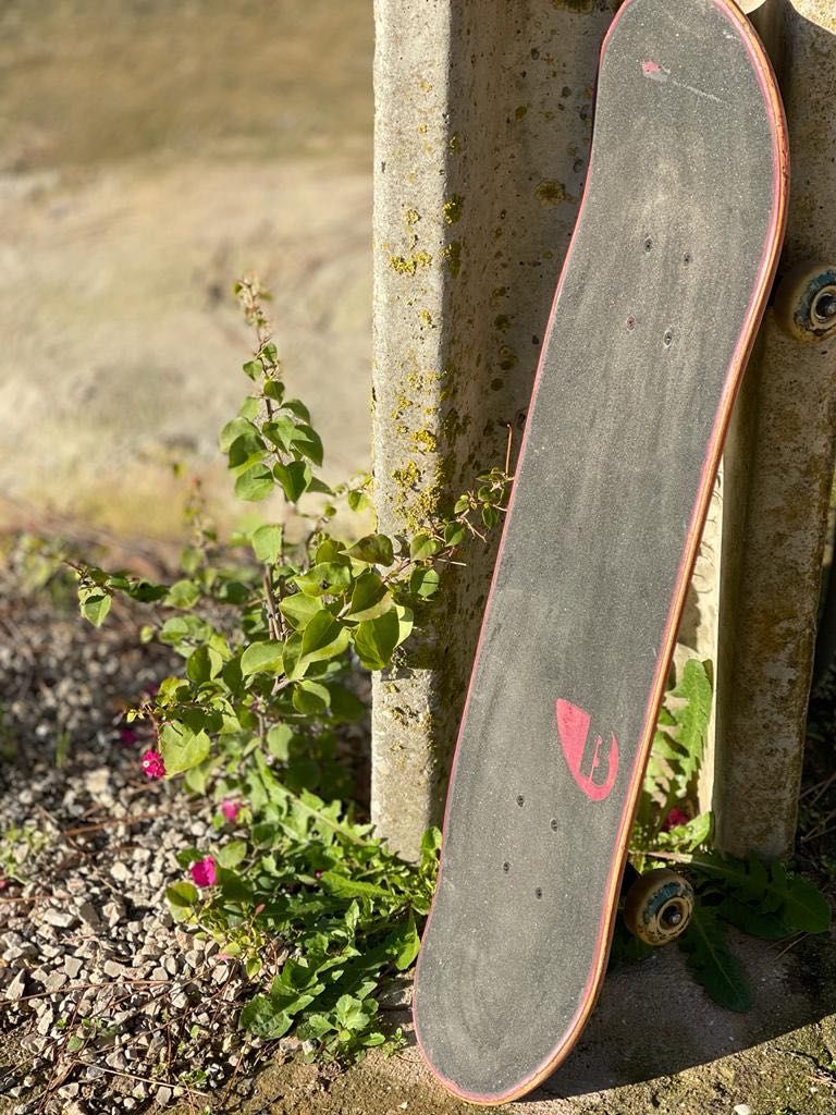 Skate Birdhouse Hawk