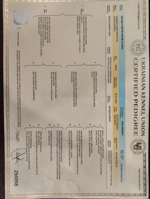 В'язка Німецька вівчарка