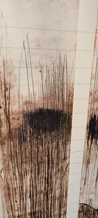Grafika warsztatowa 100x70