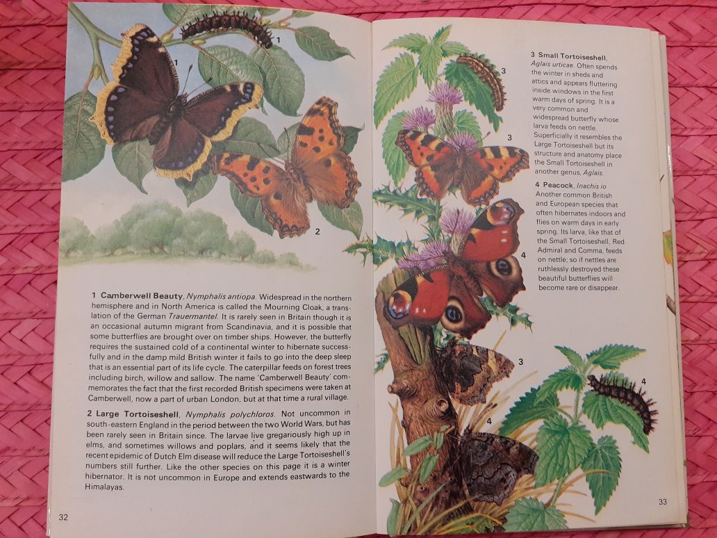 Atlas motyli Butterflies and Moths  Wilkinson, J Tweedie